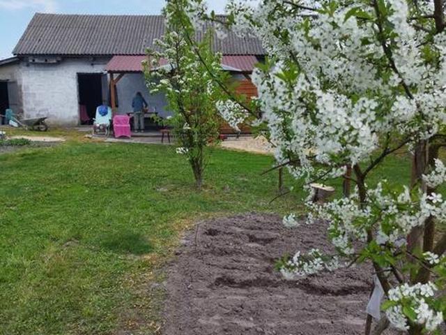 Grunt na sprzedaż w Dorohusk, Lubelskie