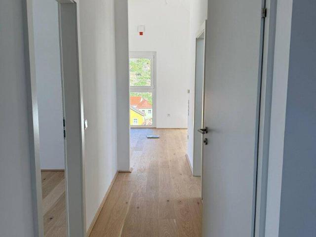 Apartment kaufen in Gut am Steg, Spitz