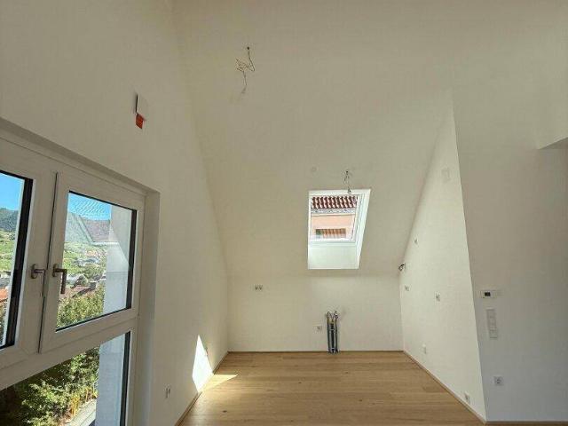 Apartment kaufen in Gut am Steg, Spitz