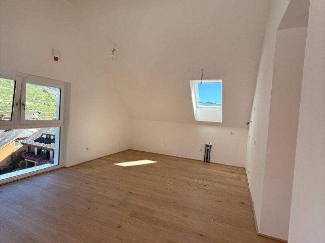 Apartment kaufen in Gut am Steg, Spitz