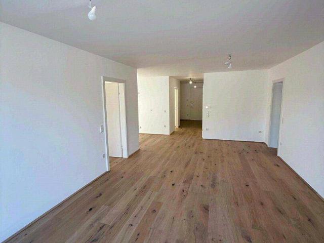 Apartment kaufen in Gut am Steg, Spitz