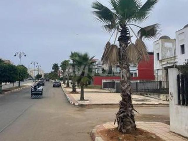 Bureau location à Larache, Tanger-Tétouan
