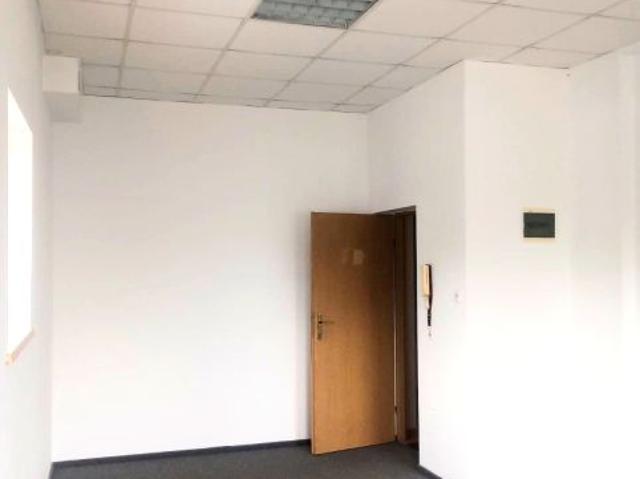 Mieszkanie do wynajęcia w Koło, Wielkopolskie