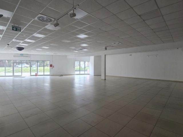 Mieszkanie do wynajęcia w Grodków, Opolskie