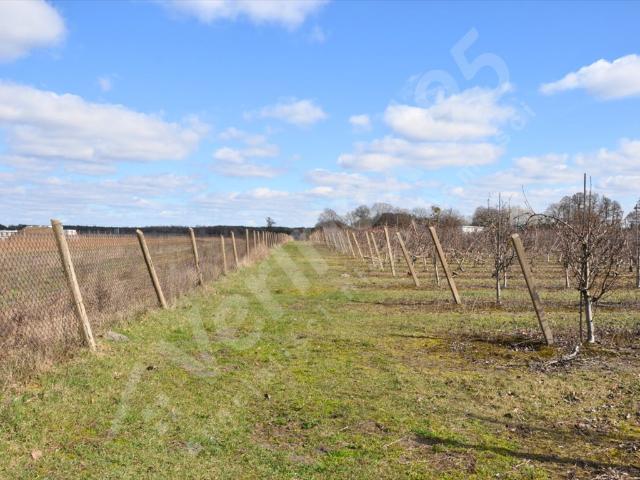 Grunt na sprzedaż w Sierosław, Wielkopolskie