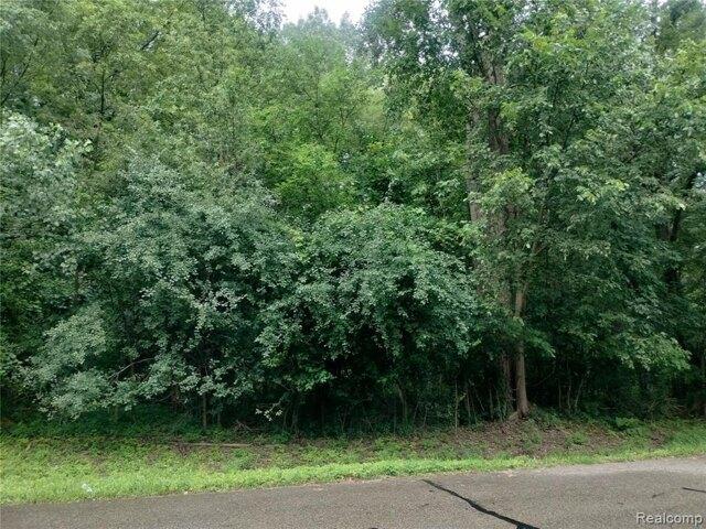 Land for sale in Novi