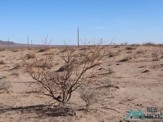 Land for sale in Luna, New Mexico
