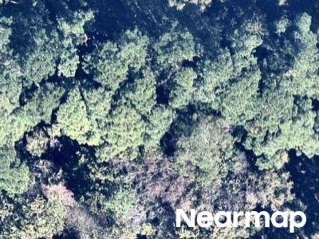 Land for sale in Florida