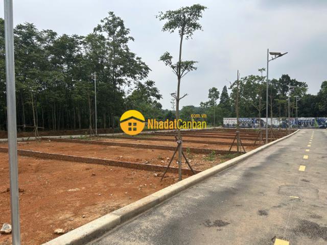 Mặt bằng bán