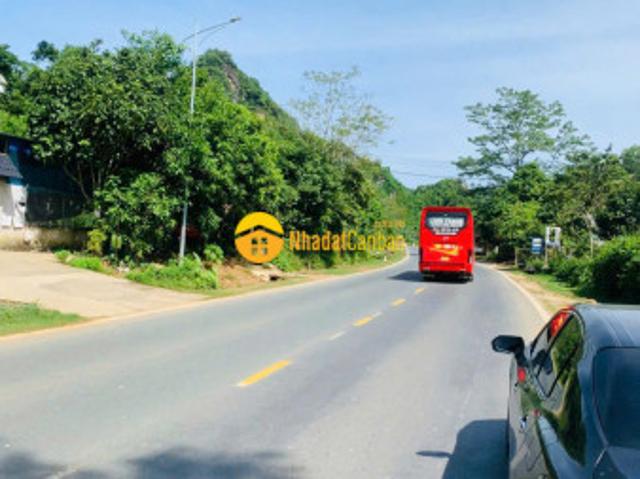 Mặt bằng bán
