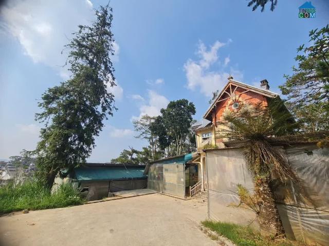 Biệt Thự bán