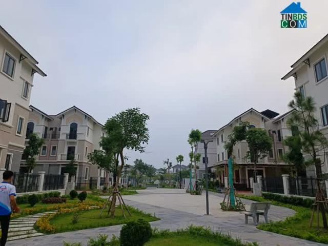 Biệt Thự bán tại Bắc Ninh