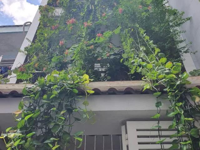 Nhà bán tại Thủ Đức, Hồ Chí Minh