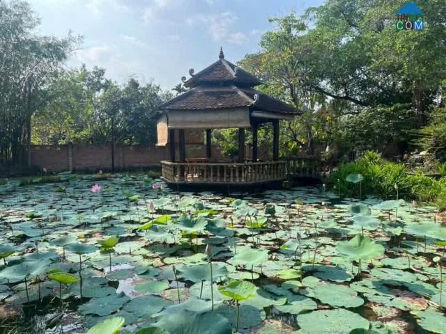 Nhà mặt phố bán tại Thủ Đức, Hồ Chí Minh