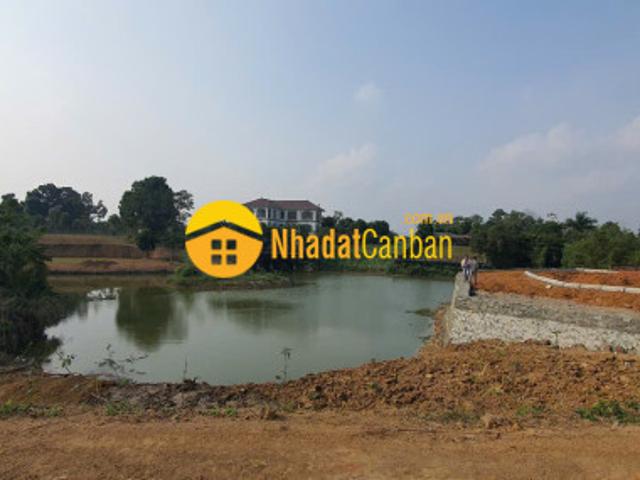Mặt bằng bán