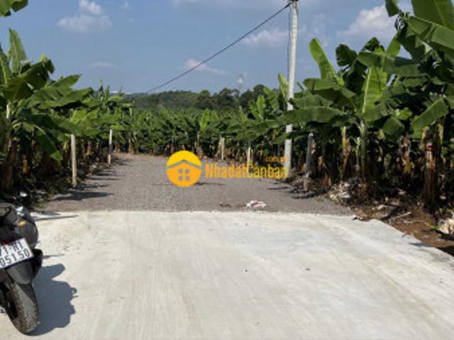 Mặt bằng bán