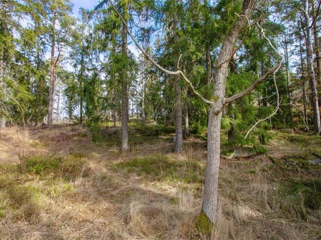 Tomt till salu i Stockholm