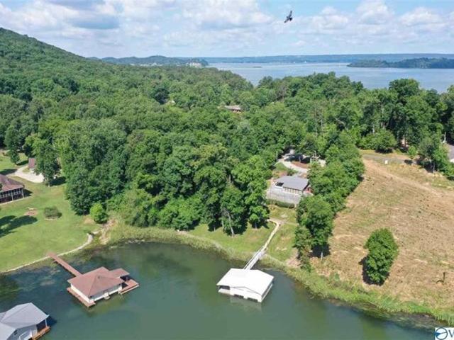 Land for sale in Guntersville