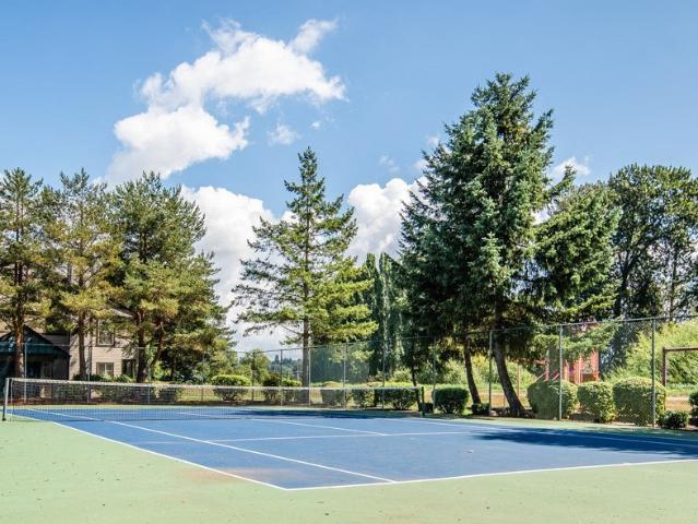 Apartment for rent in Signature Pointe Apartments, Kent