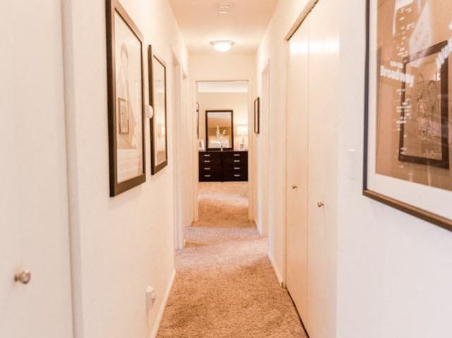 Apartment for rent in Kent