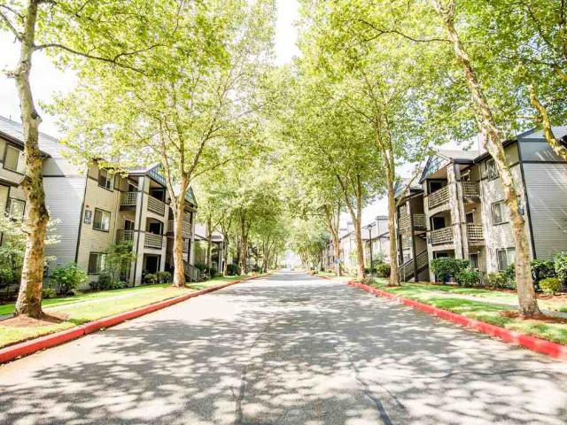 Apartment for rent in Signature Pointe Apartments, Kent