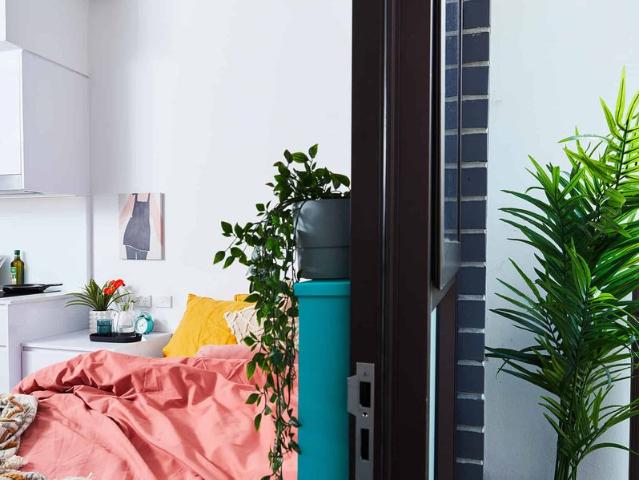 Room for rent in Sydney, New South Wales