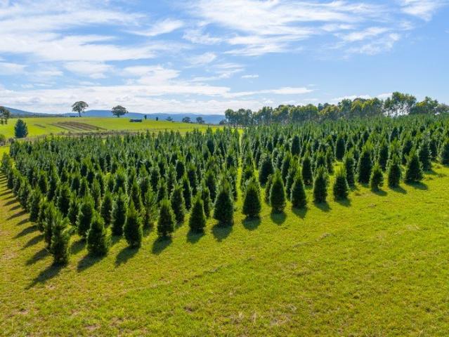 Cottage for sale in Sarsfield, Victoria