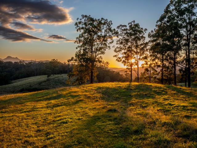 Property for sale in Limpinwood, New South Wales