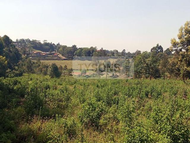Land for sale