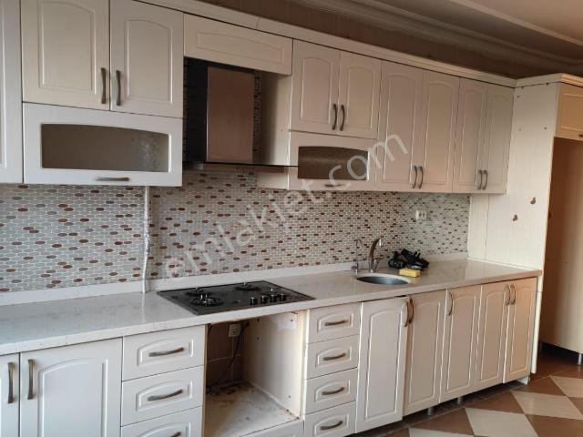 Siirt Merkez, Siirt içerisinde kiralık mülk