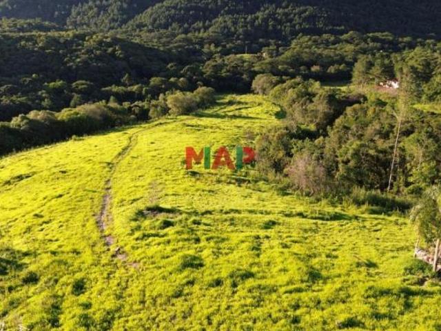 Sítio e chácara venda em Três Córregos, Campo Largo