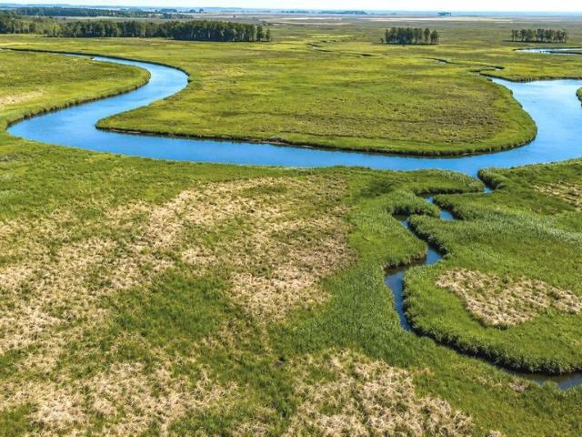 Land for sale in Toddville, Dorchester County