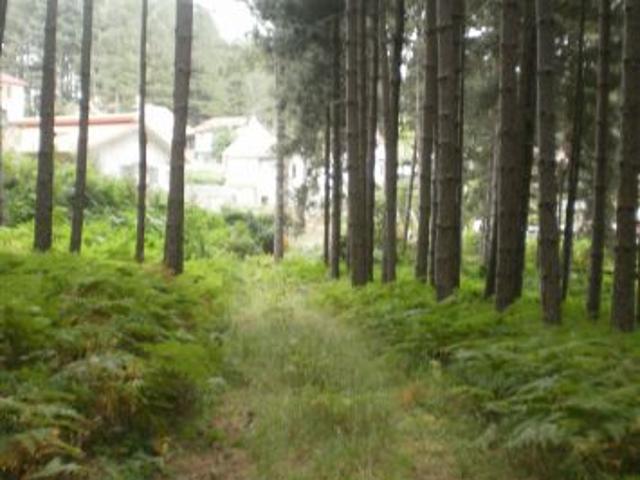 Terreno in vendita a Calabria, Catanzaro