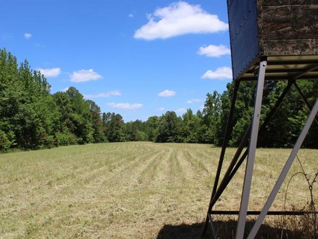 Land for sale in Tennessee