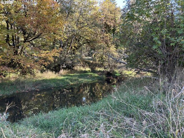 Land for sale in Toledo, Lincoln County