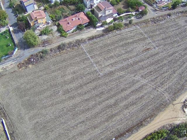 İstanbul Merkez, İstanbul içerisinde satılık mülk
