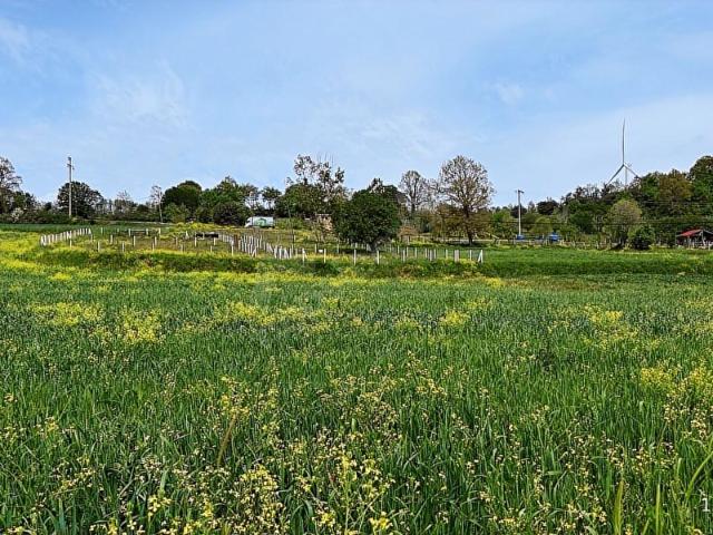 İstanbul Merkez, İstanbul içerisinde satılık Arsa