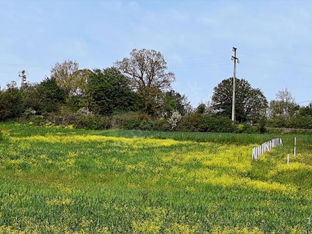 İstanbul Merkez, İstanbul içerisinde satılık Arsa