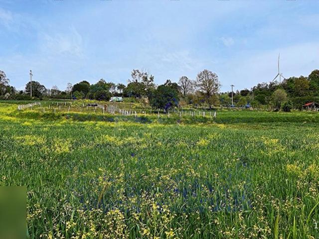 Silivri, İstanbul içerisinde satılık Arsa