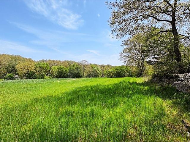 İstanbul Merkez, İstanbul içerisinde satılık Arsa