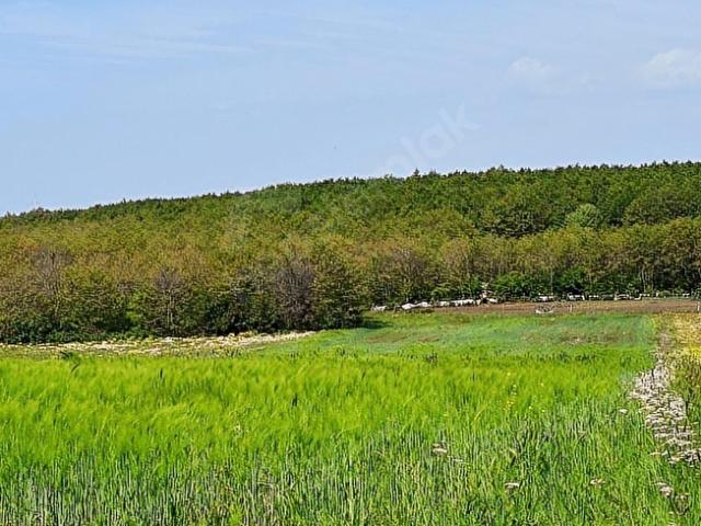 İstanbul Merkez, İstanbul içerisinde satılık Arsa