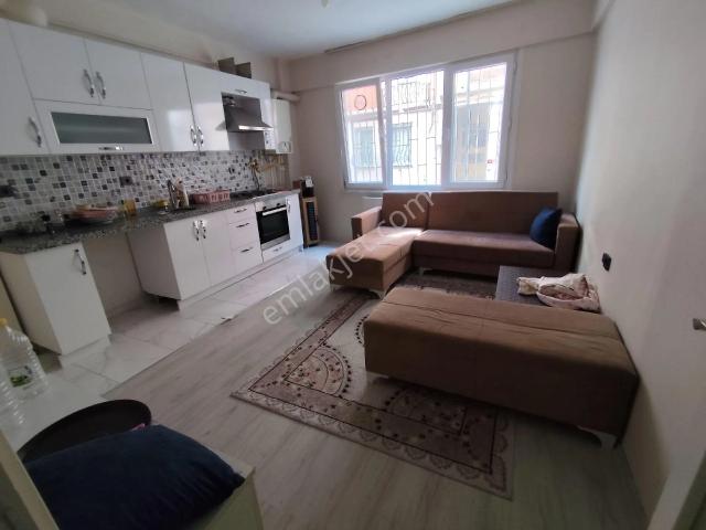 İstanbul Merkez, İstanbul içerisinde kiralık mülk