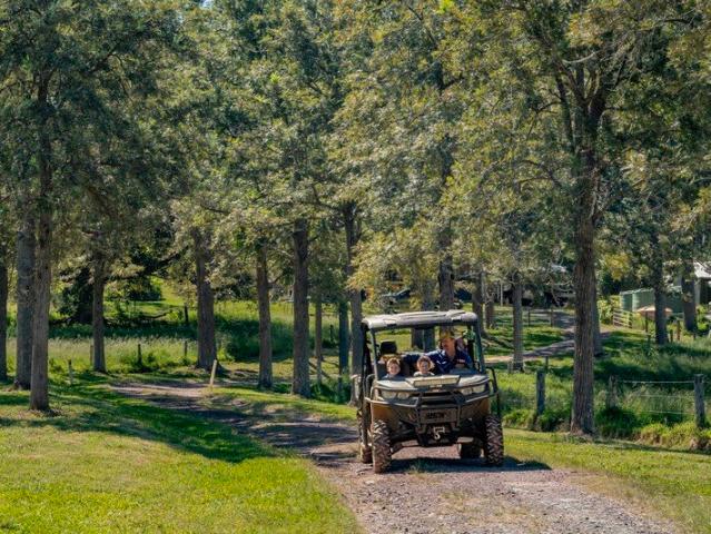 Acreage for sale in Langshaw, Queensland