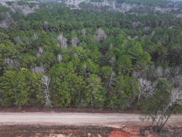 Land for sale in Hamilton, Georgia