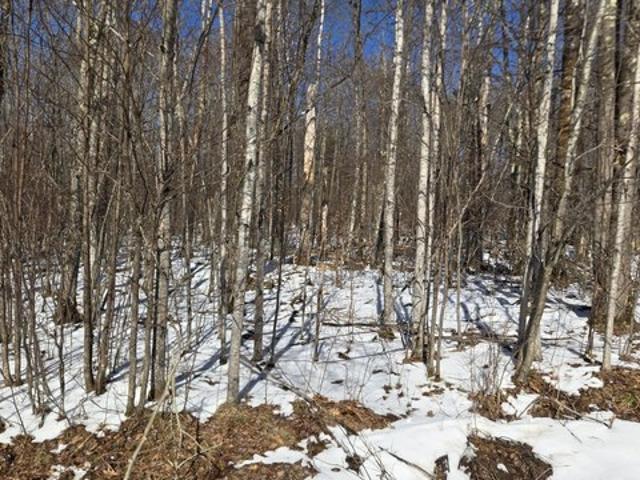 Land for sale in Cable, Wisconsin