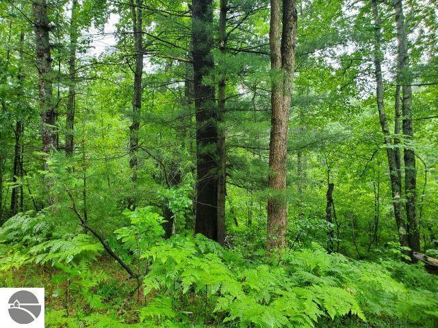 Land for sale in Michigan