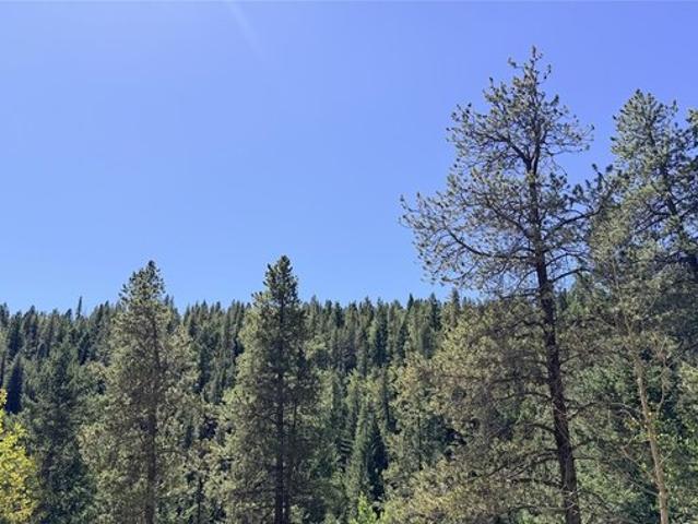 Land for sale in Clear Creek, Colorado