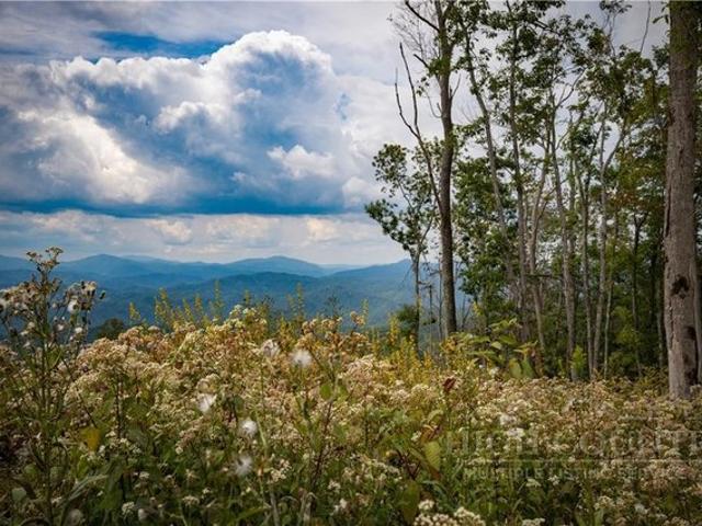 Land for sale in Avery, North Carolina
