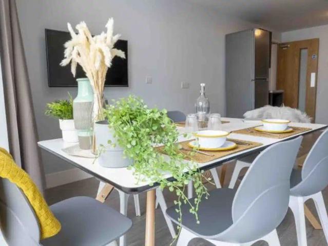 Studio for rent in Round Hill, Brighton & Hove