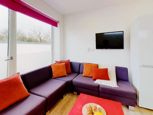 Room for rent in Ripley Springs, Row Town